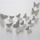 Butterflies of Hope
