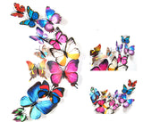 Butterflies of Hope