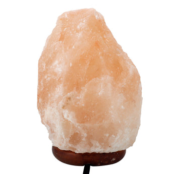 Himalayan Natural Ionic Rock Crystal Salt Night Lamp Air Purifier Dimmer 2-5lbs