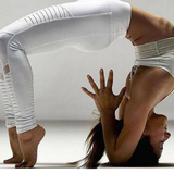 Lotus Yoga Pants